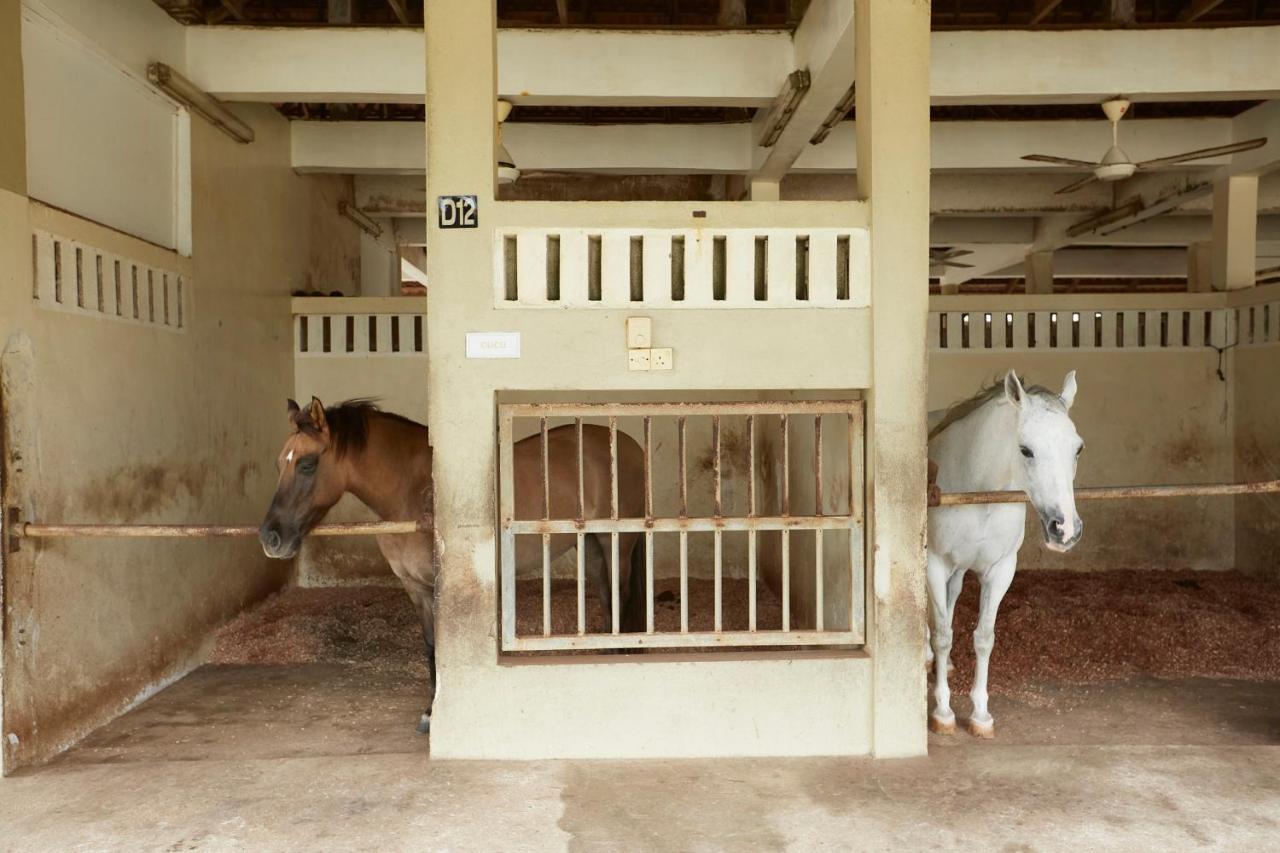 Terengganu Equestrian Resort Kuala Terengganu Exterior foto