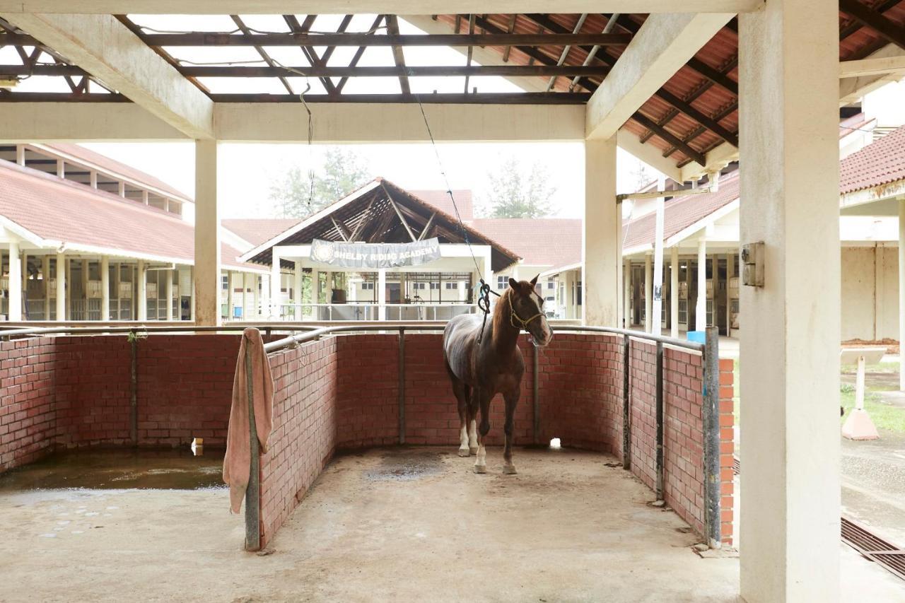 Terengganu Equestrian Resort Kuala Terengganu Exterior foto